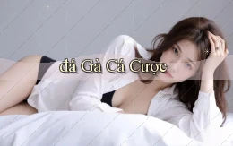 đá gà Cá cược