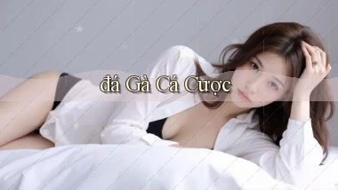 đá gà Cá cược