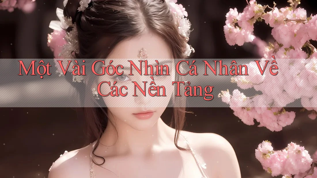 Một Vài Góc Nhìn Cá Nhân Về Các Nền Tảng