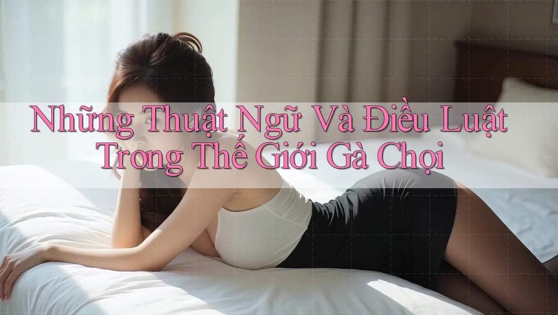 Những Thuật Ngữ Và Điều Luật Trong Thế Giới Gà Chọi