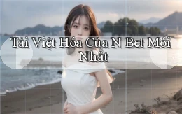 tải việt hóa của n bet mới nhất
